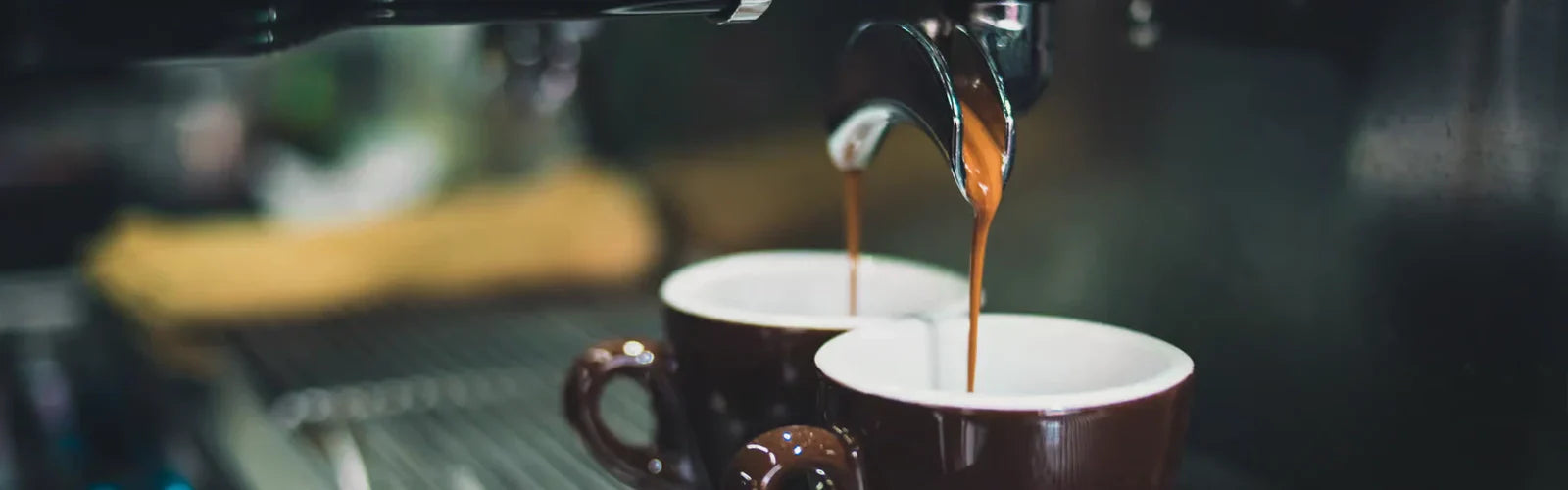 Gaggia Classic Pro vs Rancilio Silvia