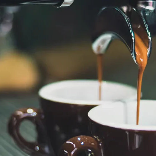 Gaggia Classic Pro vs Rancilio Silvia