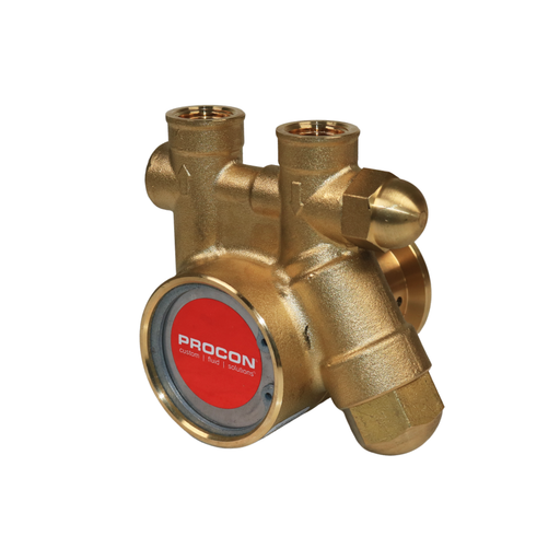 PROCON 101A025F11BA - 3/8" NPT Brass Rotary Vane Pump Series 1