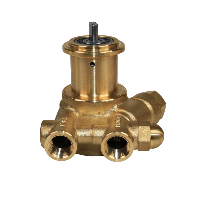PROCON 101A025F11BA - 3/8" NPT Brass Rotary Vane Pump Series 1