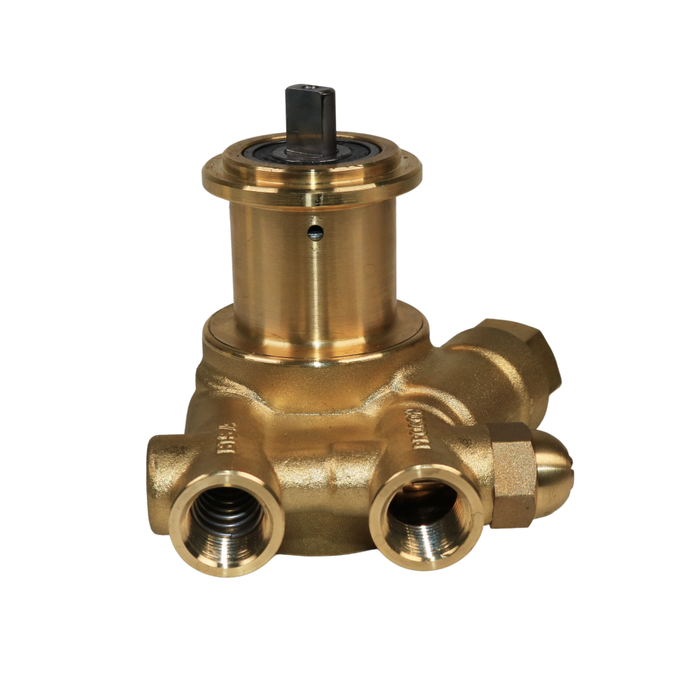 PROCON 101A025F11CA - 3/8" NPT Brass Rotary Vane Pump Series 1