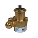 PROCON 101A025F11CA - 3/8" NPT Brass Rotary Vane Pump Series 1
