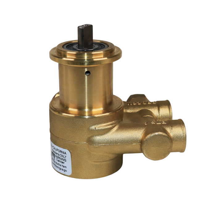 PROCON 101A025F11CA - 3/8" NPT Brass Rotary Vane Pump Series 1