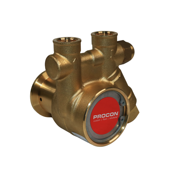 PROCON 101A025F11CA - 3/8" NPT Brass Rotary Vane Pump Series 1
