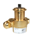 PROCON 101A100R11BB - 3/8" NPT Brass Rotary Vane Pump Series 1