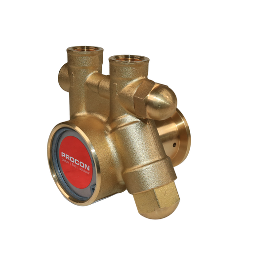 PROCON 101A125F11BD- 3/8" NPT Brass Rotary Vane Pump Series 1