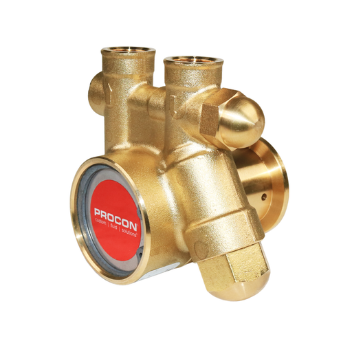 PROCON 101B100F11BC - 3/8" NPT Brass Rotary Vane Pump Series 1