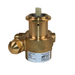 PROCON 101C100F11BC - 3/8" NPT Brass Rotary Vane Pump Series 1