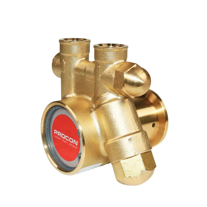PROCON 101D100F11BC - 3/8" NPT Brass Rotary Vane Pump Series 1