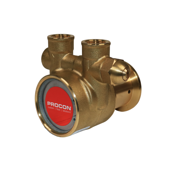 PROCON 102A060F11CA - 3/8" NPT Brass Rotary Vane Pump Series 2