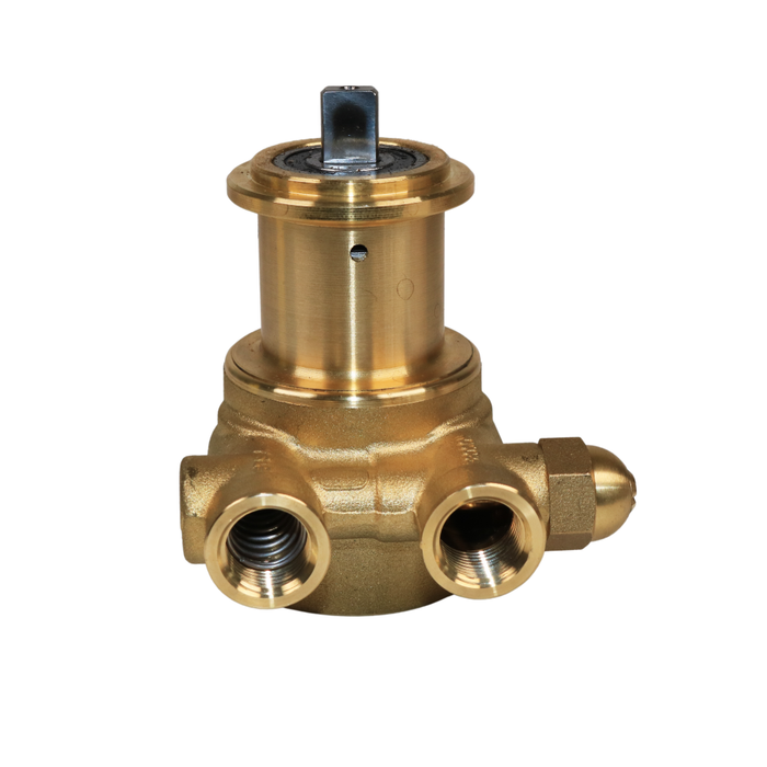PROCON 102A060F11CA - 3/8" NPT Brass Rotary Vane Pump Series 2