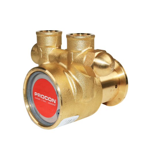 PROCON 102A080F11BA - 3/8" NPT Brass Rotary Vane Pump Series 2