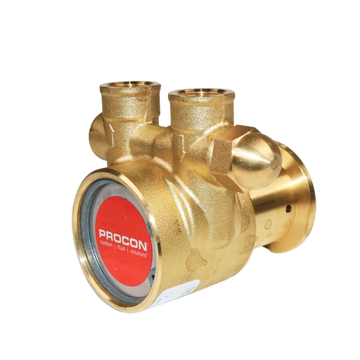 PROCON 102A100F11AA - 3/8" NPT Brass Rotary Vane Pump Series 2