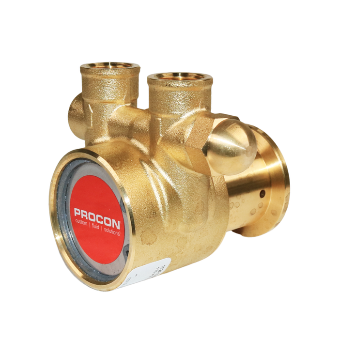 PROCON 102A100F11PA - 3/8" NPT  Brass Rotary Vane Pump Series 2