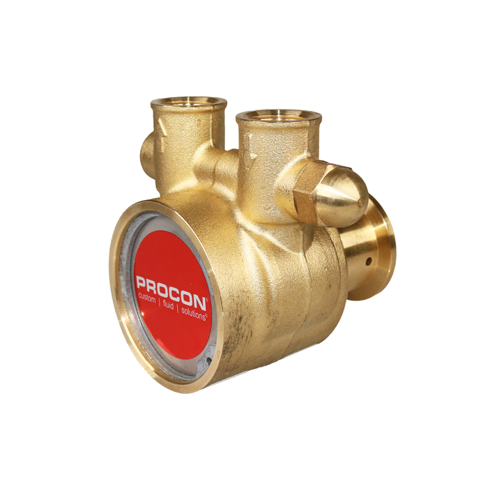 PROCON 104A240F11BA - 1/2" NPT Brass Rotary Vane Pump