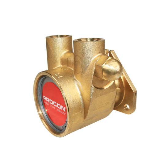 PROCON 104E240F11BA - 1/2" NPT Brass Rotary Vane Pump Series 4