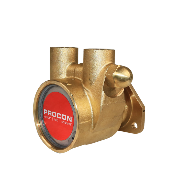 PROCON 104E240F11BB - 1/2" NPT Brass Rotary Vane Pump Series 4