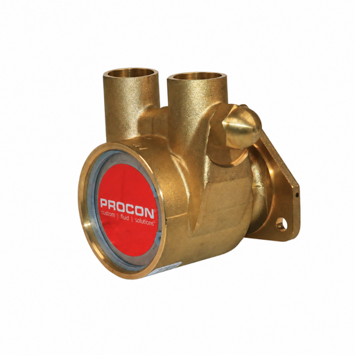 PROCON 104E265G12BA - 1/2" NPT Brass Rotary Vane Pump Series 4