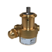 PROCON 10AS125F12GC- 3/8" G Brass Rotary Vane Pump Series 1