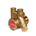 PROCON 10AS125F12XX - 3/8" G Brass Rotary Vane Pump Series 1