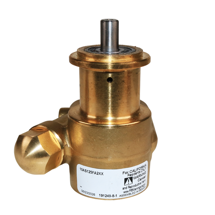 PROCON 10AS125FA2XX - 3/8" G Brass Rotary Vane Pump Series 1