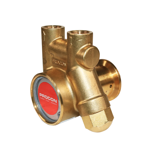 PROCON 10AS125FA2XX - 3/8" G Brass Rotary Vane Pump Series 1