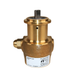 PROCON 10BA035F11GC - 3/8" G Brass Rotary Vane Pump Series 2