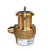 PROCON 10BA070F11GC - 3/8" G Brass Rotary Vane Pump Series 2