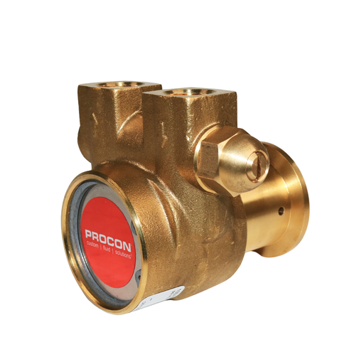 PROCON 10BA070F11GC - 3/8" G Brass Rotary Vane Pump Series 2