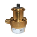 PROCON 10BA125F11AA - 3/8" G Brass Rotary Vane Pump Series 2