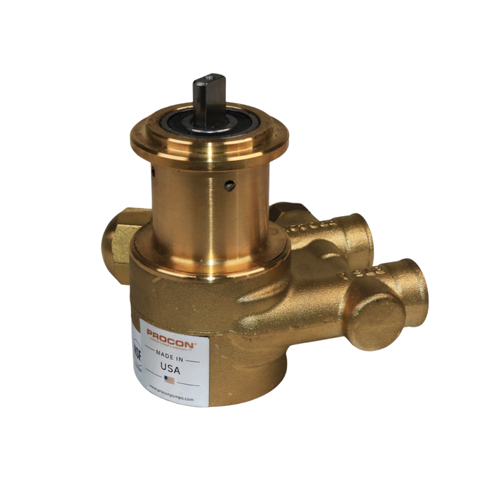 PROCON 111A100F11CA - 3/8" NPT Brass Rotary Vane Pump Series 1
