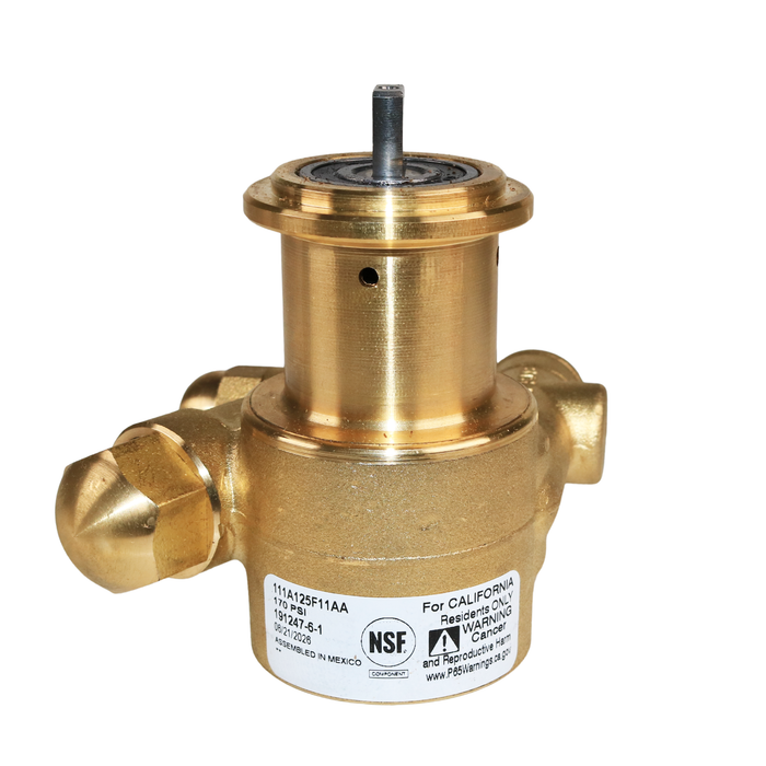 PROCON 111A125F11AA - 3/8" NPT Brass Rotary Vane Pump Series 1