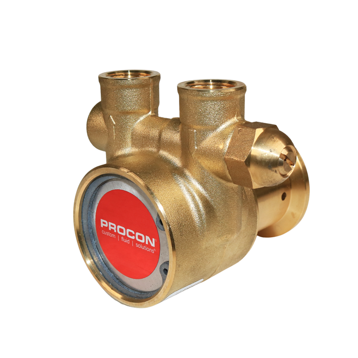 PROCON 112A015F11DB - 3/8" NPT  Brass Rotary Vane Pump Series 2