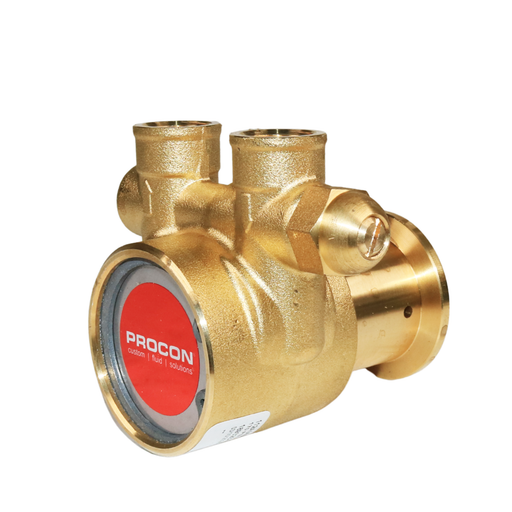 PROCON 112A060F11CA - 3/8" NPT Brass Rotary Vane Pump Series 2