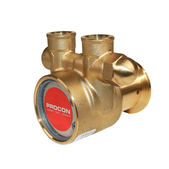 PROCON 112A070F11AA - 3/8" NPT  Brass Rotary Vane Pump Series 2