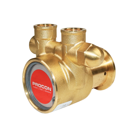 PROCON 112A100F11AA - 3/8" NPT  Brass Rotary Vane Pump Series 2
