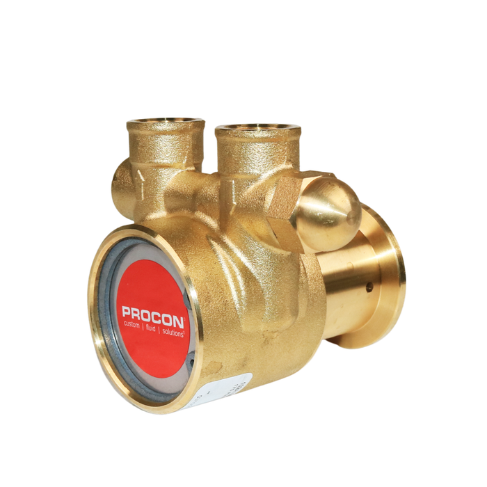 PROCON 112A100F11BA - 3/8" NPT  Brass Rotary Vane Pump Series 2
