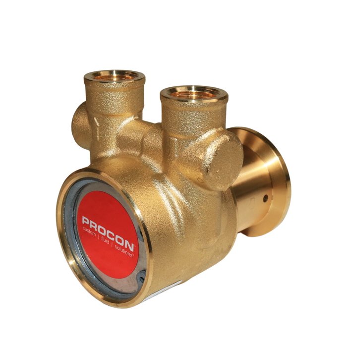 PROCON 112A100F11XX - 3/8" NPT Brass Rotary Vane Pump Series 2
