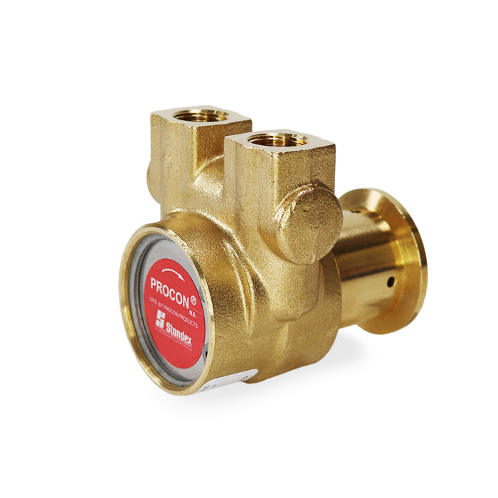 PROCON | Series 2-112A125F11XX - 3/8" NPT Brass Rotary Vane Pump