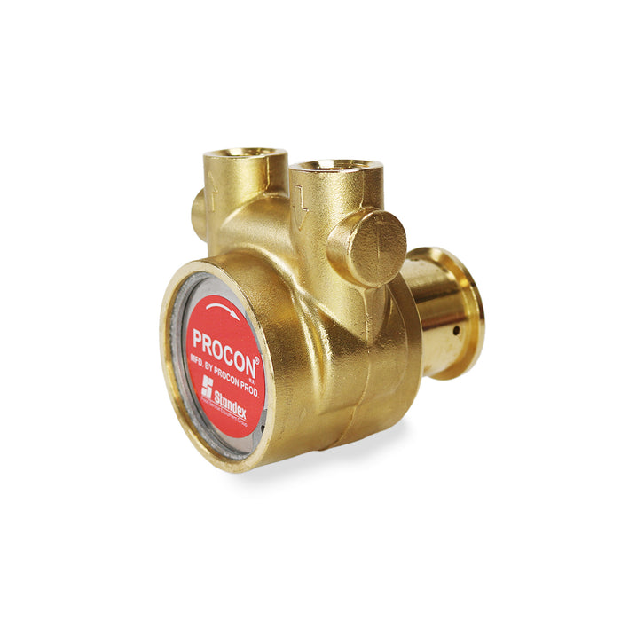 PROCON | Series 2-112A140F11XX - 3/8" NPT Brass Rotary Vane Pump