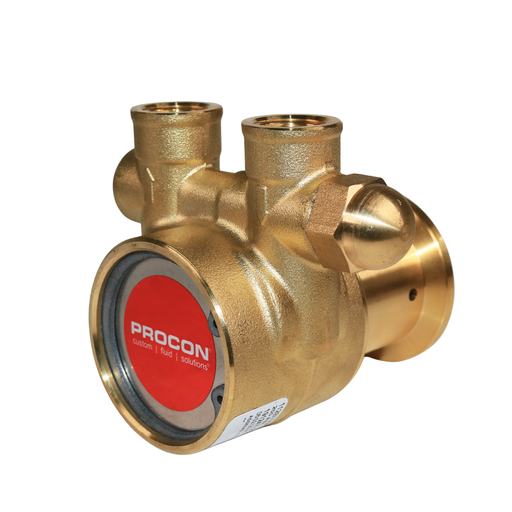 PROCON 112B100F11AA - 3/8" NPT  Brass Rotary Vane Pump Series 2