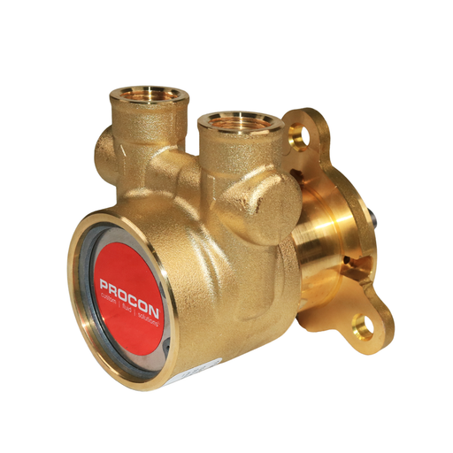 PROCON 112E080F11XX - 3/8" NPT Brass Rotary Vane Pump Series 2
