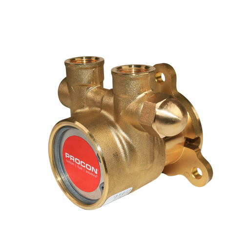 PROCON 112E100F11BA - 3/8" NPT  Brass Rotary Vane Pump Series 2