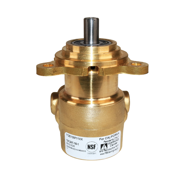PROCON 112E100F11XX - 3/8" NPT Brass Rotary Vane Pump Series 2