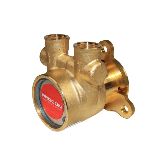 PROCON 112E100F11XX - 3/8" NPT Brass Rotary Vane Pump Series 2