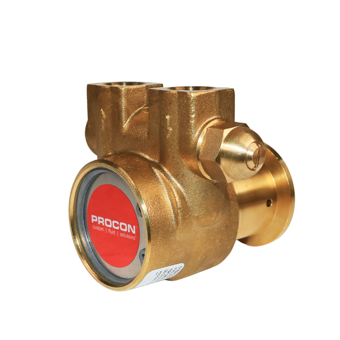PROCON 11BA050F11DB - 3/8" G Brass Rotary Vane Pump Series 2