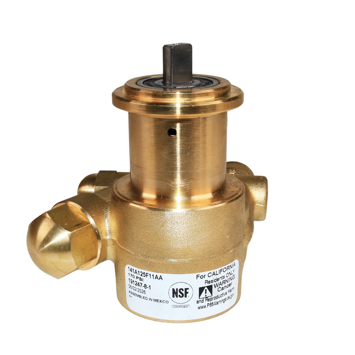 PROCON 141A125F11AA - 3/8" NPT Brass Rotary Vane Pump Series 1
