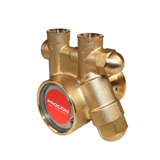 PROCON 141A125F11AA - 3/8" NPT Brass Rotary Vane Pump Series 1
