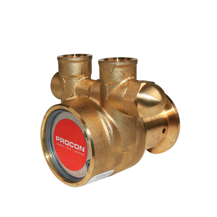 PROCON 142A070F11AA - 3/8" NPT Brass Rotary Vane Pump Series 2