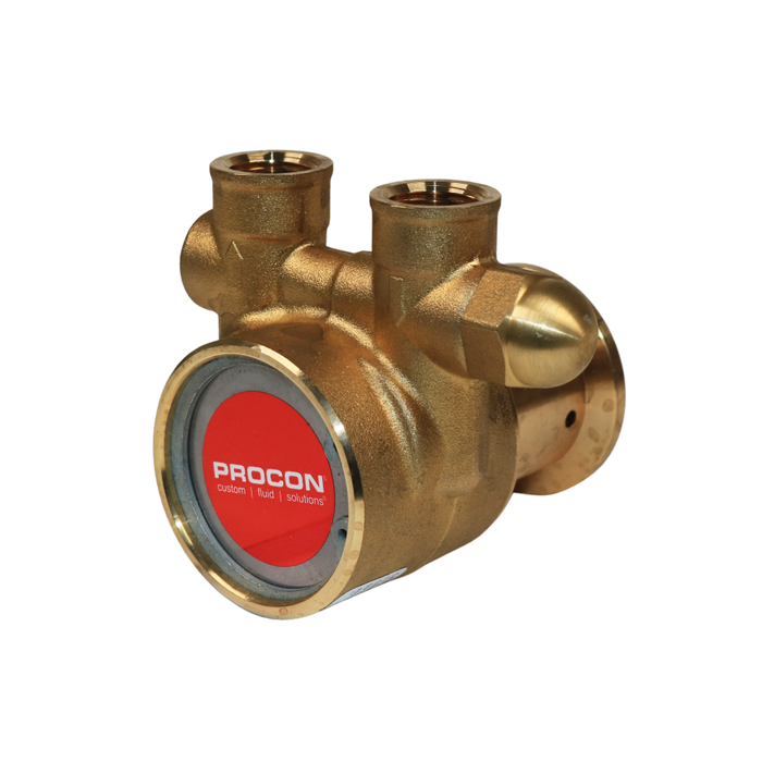 PROCON 142A100F11AA - 3/8" NPT  Brass Rotary Vane Pump Series 2